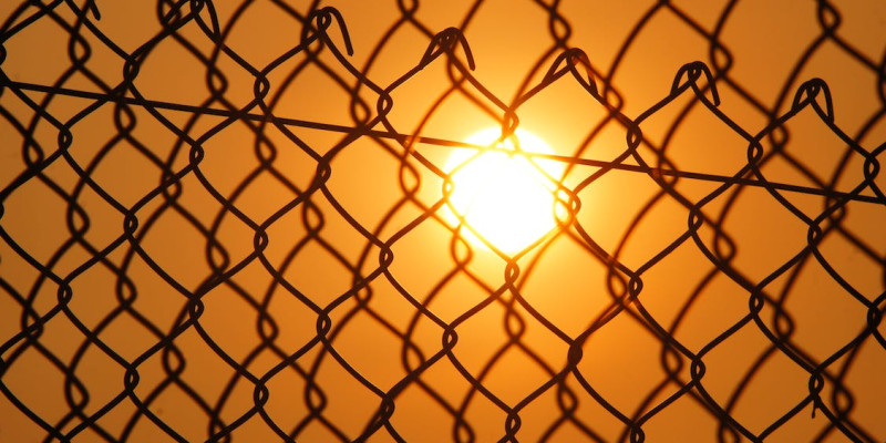 Sonce za mrežo